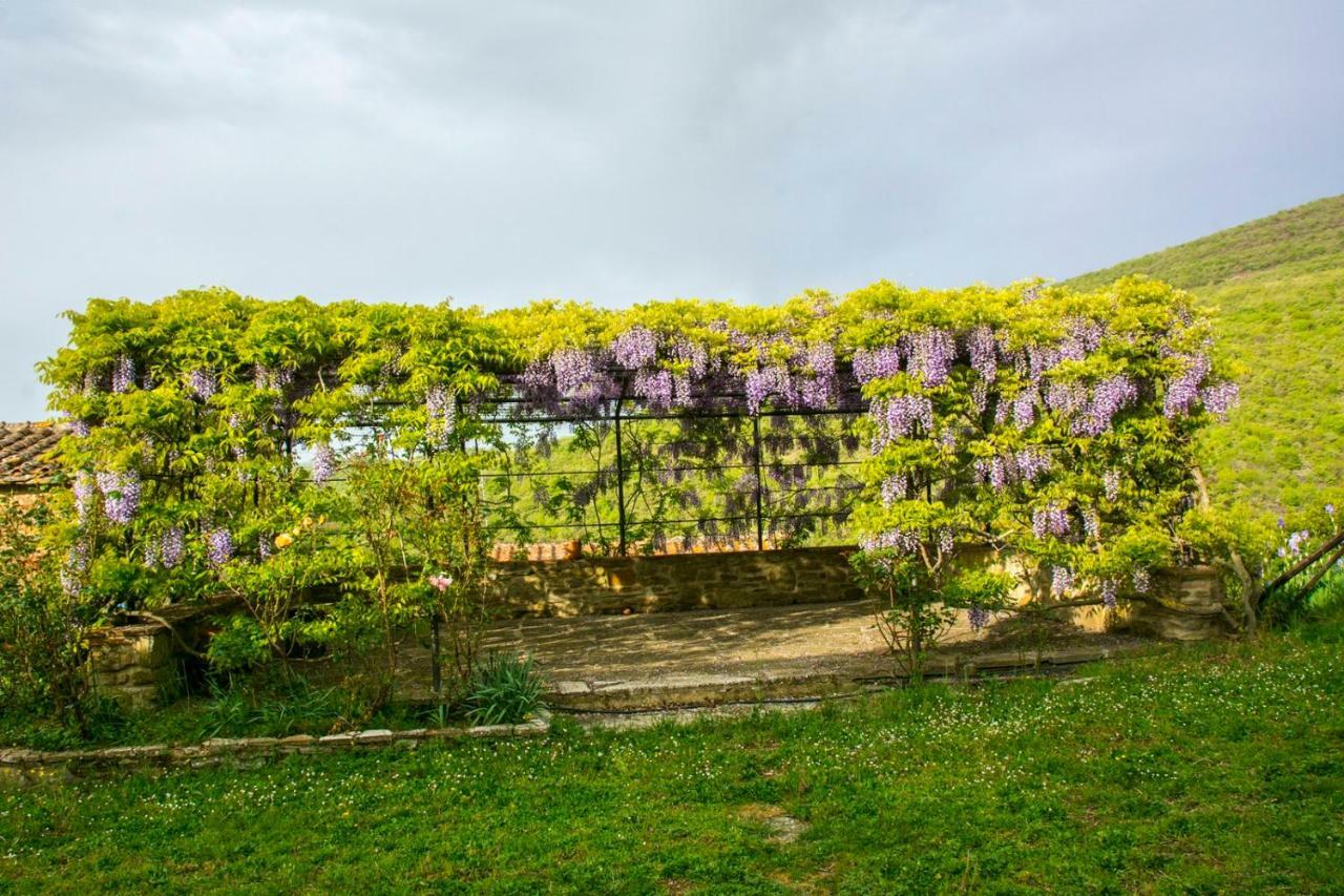 Borgo Solamore Cortona Exterior foto